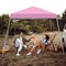 Costway 10x10ft Patio Outdoor Instant Pop-up Canopy Slanted Leg UPF50+ Sun Shelter